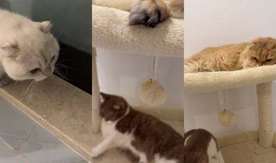 bthbth92 TikTok Live — Oct 2, 2026, 5:22 PM