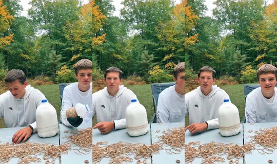 buckeyes335 TikTok Live — Sep 27, 2026, 3:44 PM