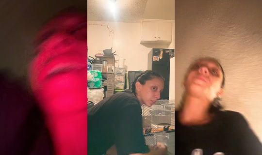 bunny.boo1900 TikTok Live — Aug 31, 2026, 9:26 AM
