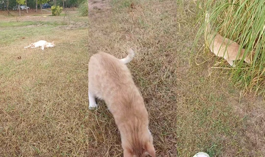 busraak_yedek TikTok Live — Sep 25, 2026, 2:31 PM