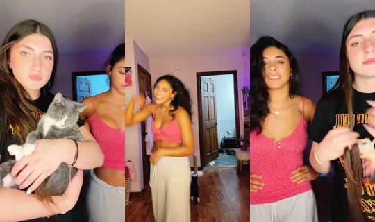 busturkneecapz TikTok Live — Oct 4, 2026, 3:00 AM