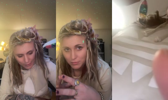 butterflywarlord TikTok Live — Aug 25, 2026, 2:13 AM