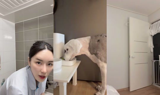bydew222 TikTok Live — Aug 26, 2026, 3:34 PM
