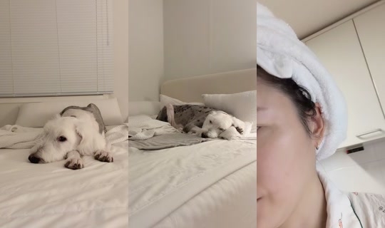 bydew222 TikTok Live — Sep 1, 2026, 1:35 PM