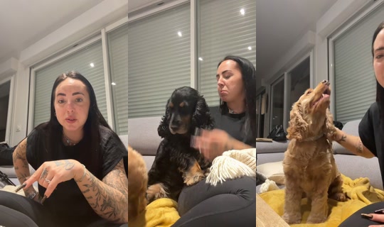 camille_la_danseuse TikTok Live — Oct 3, 2026, 6:18 PM