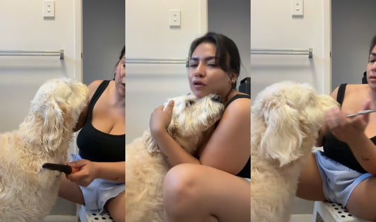 candy_mintsss TikTok Live — Aug 24, 2026, 7:37 AM