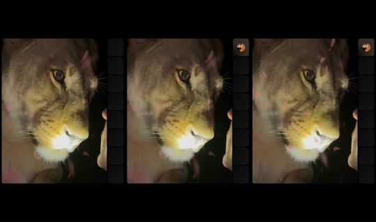 carameloamadoor TikTok Live — Oct 8, 2026, 11:32 PM