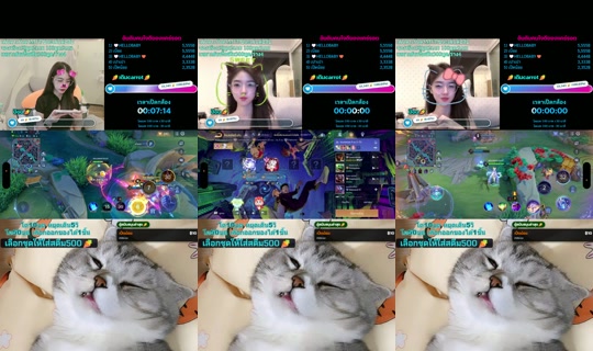 carrot_catalog TikTok Live — Aug 26, 2026, 12:56 PM