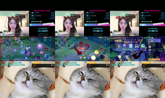 carrot_catalog TikTok Live — Aug 26, 2026, 2:42 PM