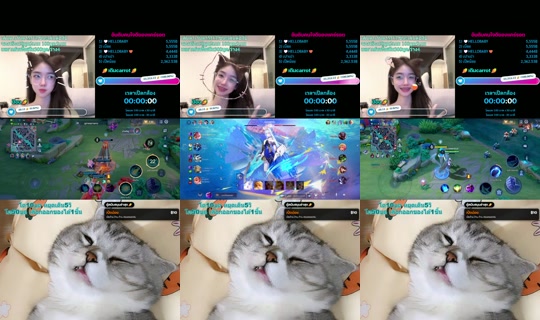 carrot_catalog TikTok Live — Aug 26, 2026, 4:23 PM