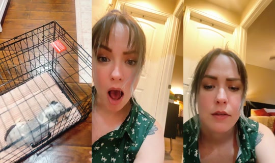 cases_corner TikTok Live — Oct 2, 2026, 11:19 PM