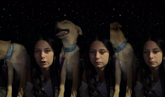 cashlin.guerrina TikTok Live — Sep 17, 2026, 11:52 PM