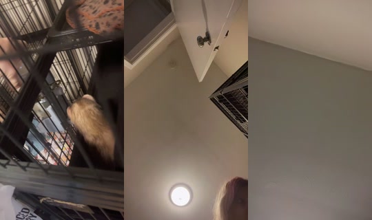 cassie.cherryy TikTok Live — Sep 21, 2026, 9:37 PM