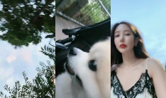 cccsang TikTok Live — Aug 24, 2026, 9:56 AM