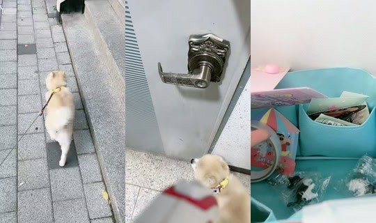 cccsang TikTok Live — Aug 25, 2026, 5:17 AM