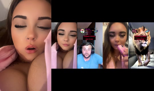 cecexoxo261 TikTok Live — Aug 28, 2026, 10:17 PM