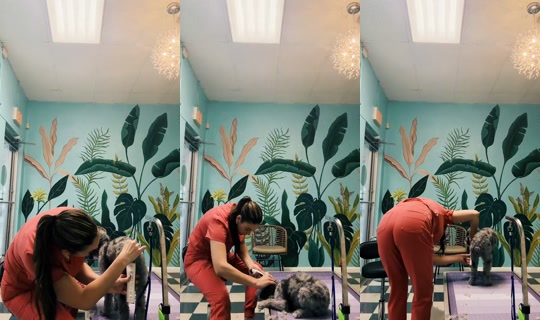 ceeceebloom2.0 TikTok Live — Oct 1, 2026, 3:13 PM