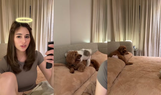ceessss16 TikTok Live — Aug 29, 2026, 11:17 AM