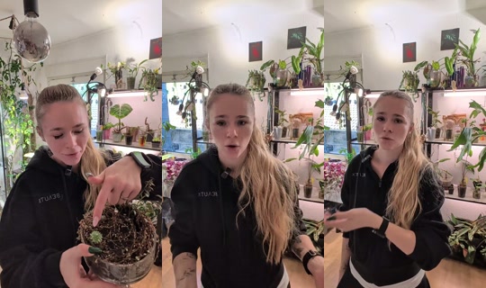 celine.plantzoneone TikTok Live — Oct 4, 2026, 2:10 PM
