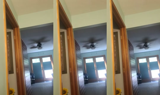 cessprinn42011 TikTok Live — Aug 28, 2026, 3:35 PM