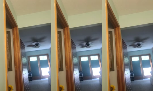 cessprinn42011 TikTok Live — Aug 28, 2026, 3:50 PM