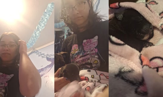 chaos_zippynugget TikTok Live — Sep 27, 2026, 6:34 PM