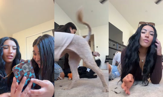 charity_h_snow TikTok Live — Oct 3, 2026, 5:15 PM