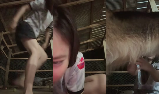 chatoey19 TikTok Live — Sep 14, 2026, 1:06 PM