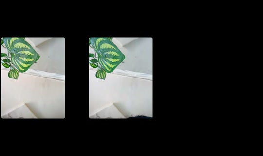 cheese8593 TikTok Live — Oct 1, 2026, 1:12 PM