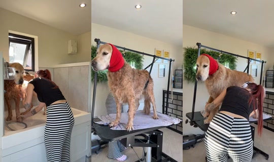 chelseanoblex TikTok Live — Sep 30, 2026, 11:47 AM