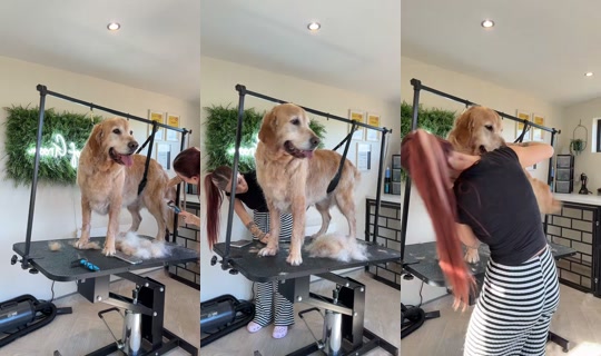 chelseanoblex TikTok Live — Sep 30, 2026, 12:38 PM