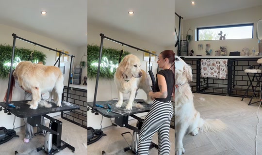chelseanoblex TikTok Live — Sep 30, 2026, 3:07 PM