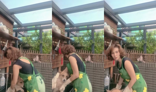 chengyunadabaobao TikTok Live — Oct 1, 2026, 12:33 AM