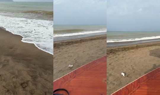 chezpapi1 TikTok Live — Aug 23, 2026, 4:11 PM