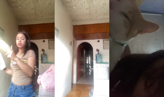chiquipato69 TikTok Live — Oct 4, 2026, 11:15 AM