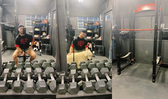 chris_fit_ TikTok Live — Aug 29, 2026, 12:01 PM
