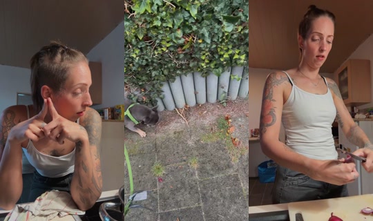 chrissy.animal.life TikTok Live — Sep 28, 2026, 4:25 PM