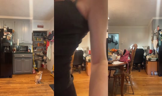 christina.tetrault TikTok Live — Oct 6, 2026, 2:28 PM