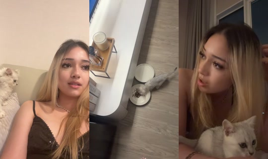 ci0fy TikTok Live — Sep 1, 2026, 8:26 PM