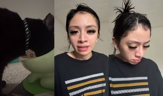 cilass0 TikTok Live — Oct 4, 2026, 1:52 PM