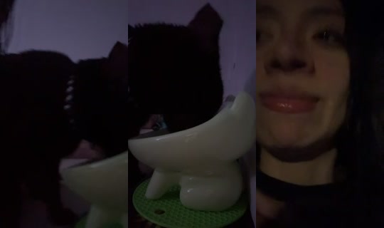 cilass0 TikTok Live — Oct 8, 2026, 3:56 AM