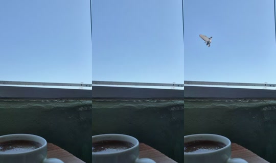 cilekterapii.16 TikTok Live — Sep 1, 2026, 12:35 PM
