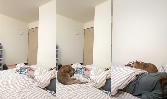 cindy79115 TikTok Live — Sep 29, 2026, 8:31 AM
