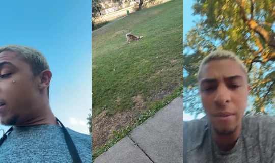 cinimini___ TikTok Live — Aug 24, 2026, 5:05 PM
