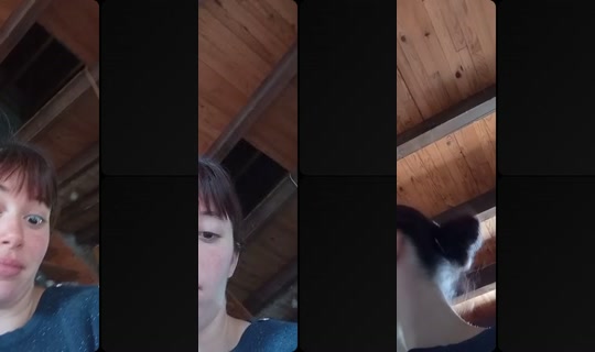 clochette0104 TikTok Live — Aug 22, 2026, 12:22 PM