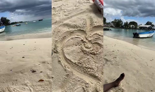 coffeebean340 TikTok Live — Aug 27, 2026, 9:46 AM