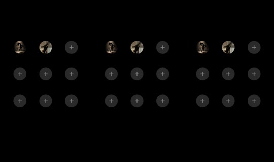 cookie.mau2 TikTok Live — Sep 21, 2026, 1:31 PM