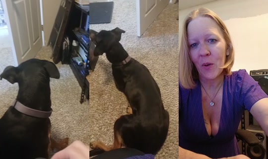 cosmo.beans82 TikTok Live — Oct 8, 2026, 7:58 PM