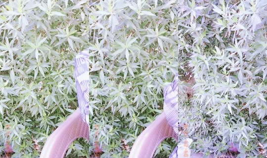 craza0 TikTok Live — Aug 28, 2026, 9:33 AM
