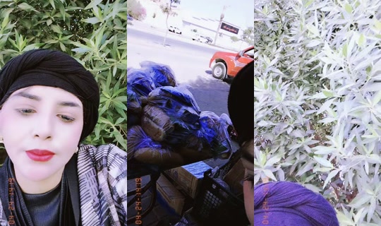 craza0 TikTok Live — Aug 29, 2026, 6:28 AM